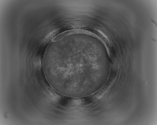 X0000091450405200708231259