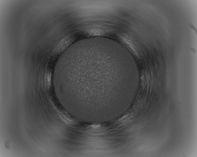 X0000091450406200708231259
