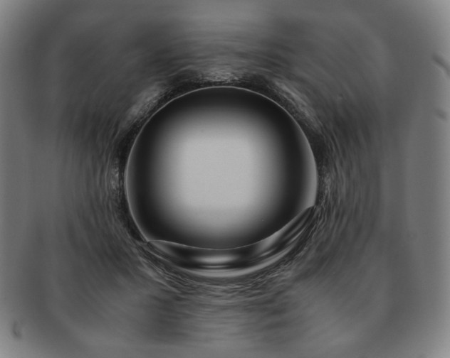 X0000091450407200708231259