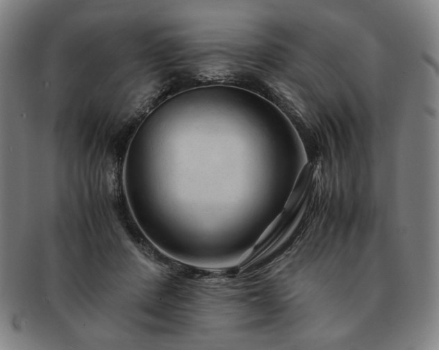 X0000091450408200708231259