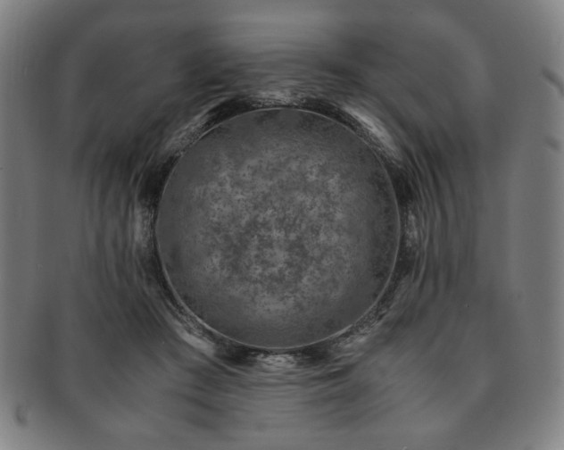X0000091450409200708231259