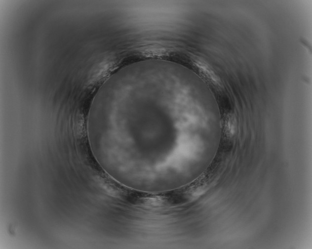 X0000091450411200708231259