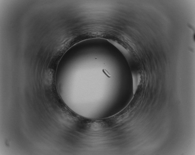 X0000091450412200708231259