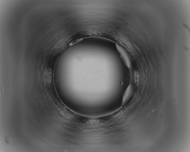 X0000091450413200708231259