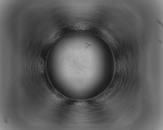 X0000091450414200708231259
