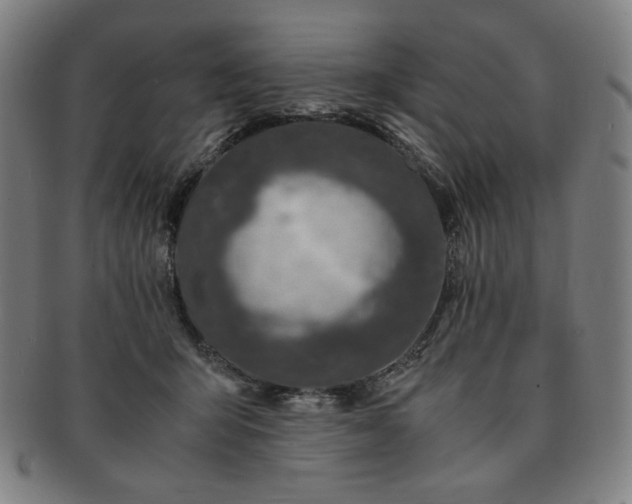 X0000091450415200708231259