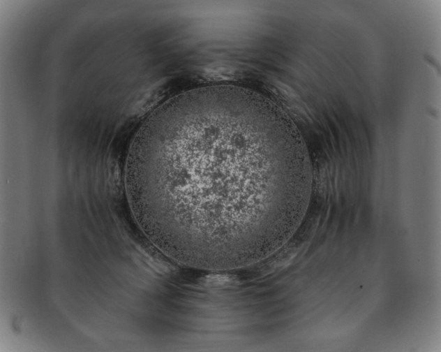 X0000091450418200708231259