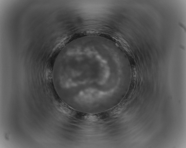 X0000091450419200708231259