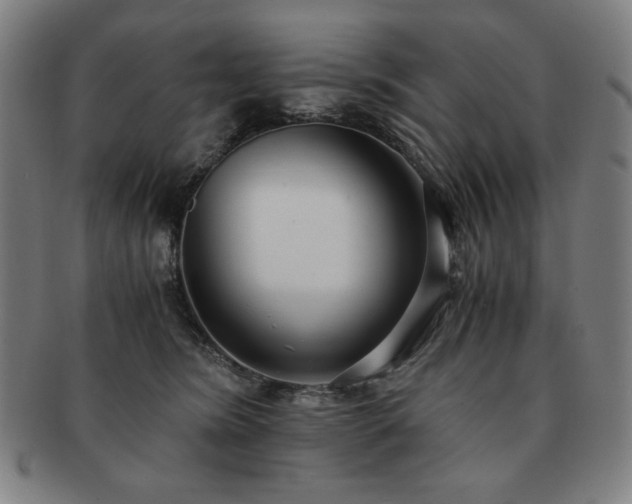 X0000091450420200708231259
