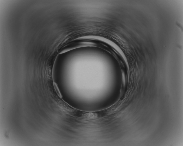 X0000091450421200708231259