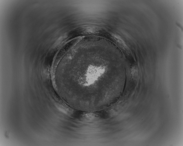 X0000091450423200708231259