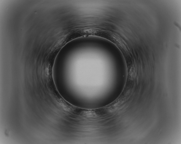 X0000091450424200708231259