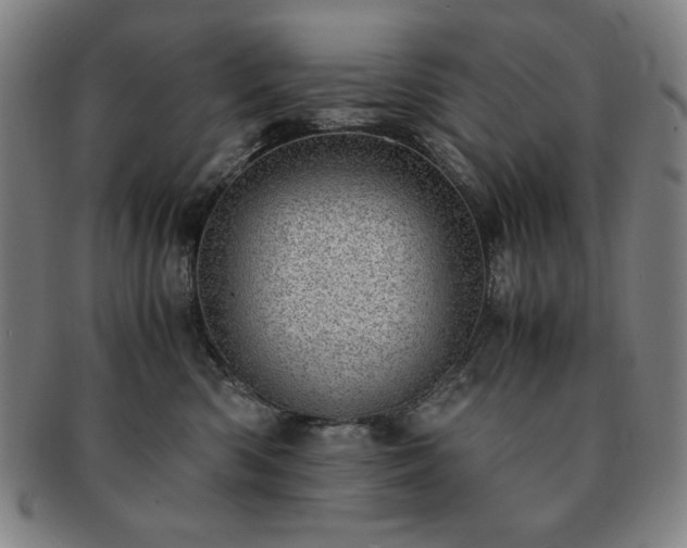 X0000091450426200708231259