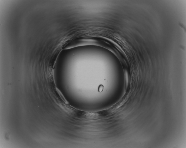 X0000091450429200708231259