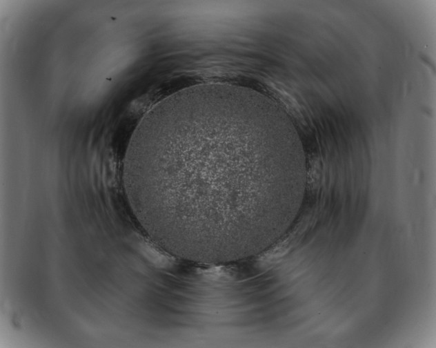 X0000091450430200708231259