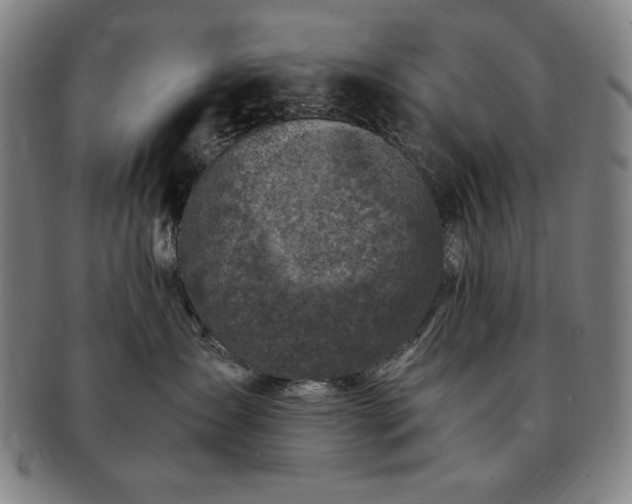 X0000091450431200708231259