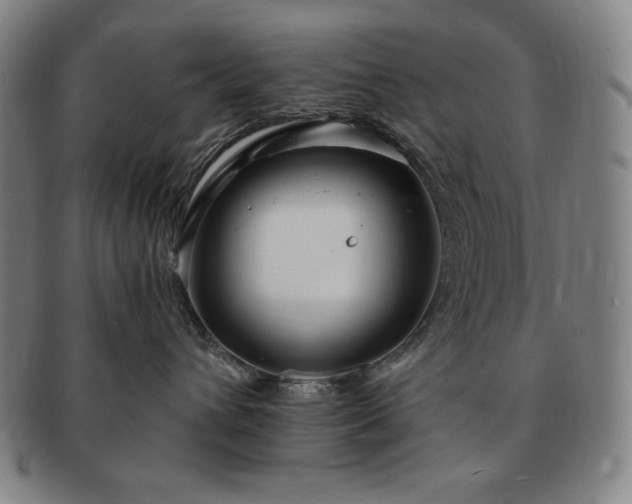 X0000091450432200708231259