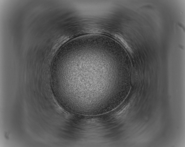 X0000091450433200708231258