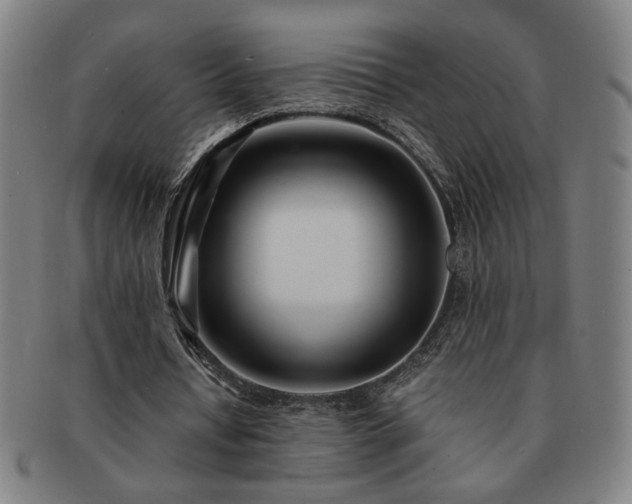 X0000091450434200708231258