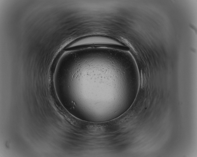X0000091450435200708231258