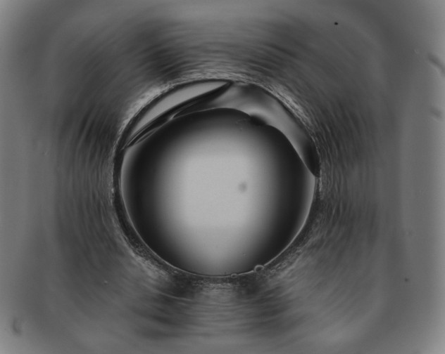 X0000091450438200708231258