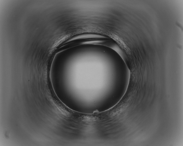 X0000091450442200708231258