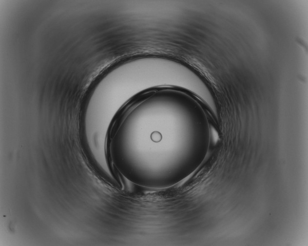 X0000091450444200708231258