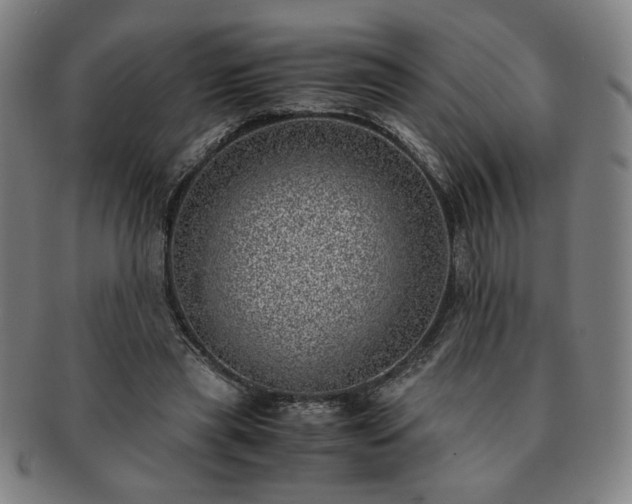 X0000091450445200708231258