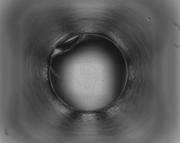 X0000091450450200708231258