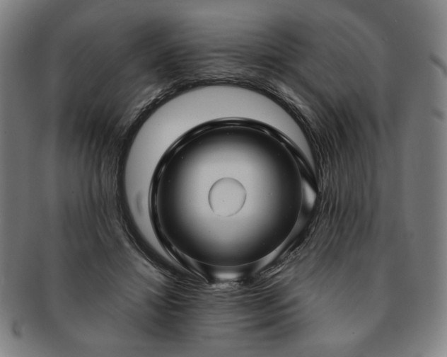 X0000091450452200708231258