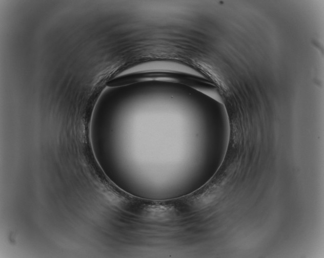 X0000091450453200708231258