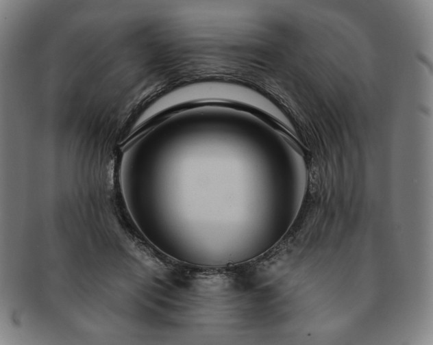 X0000091450454200708231258