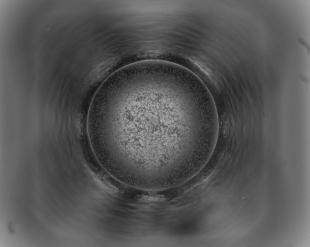 X0000091450455200708231258