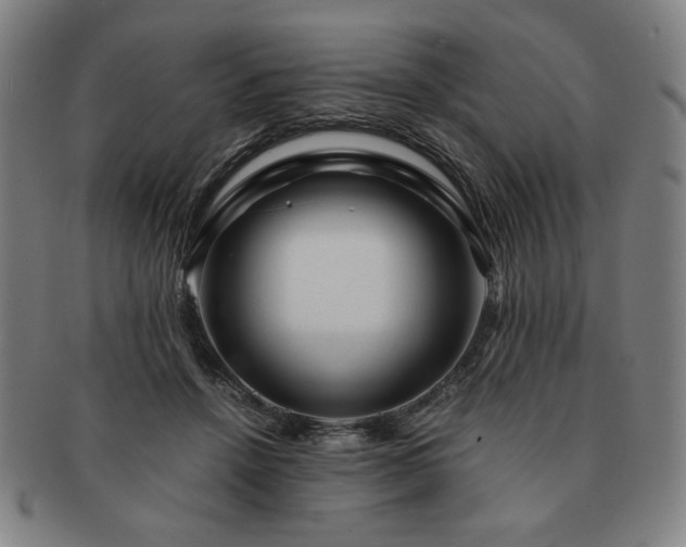 X0000091450456200708231258