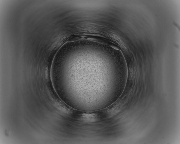 X0000091450457200708231258
