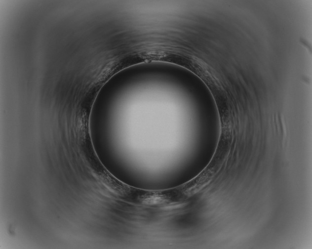 X0000091450460200708231258