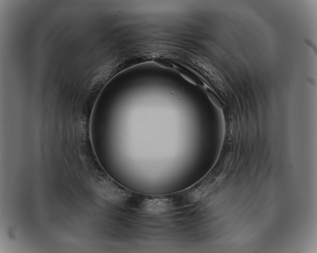X0000091450461200708231258