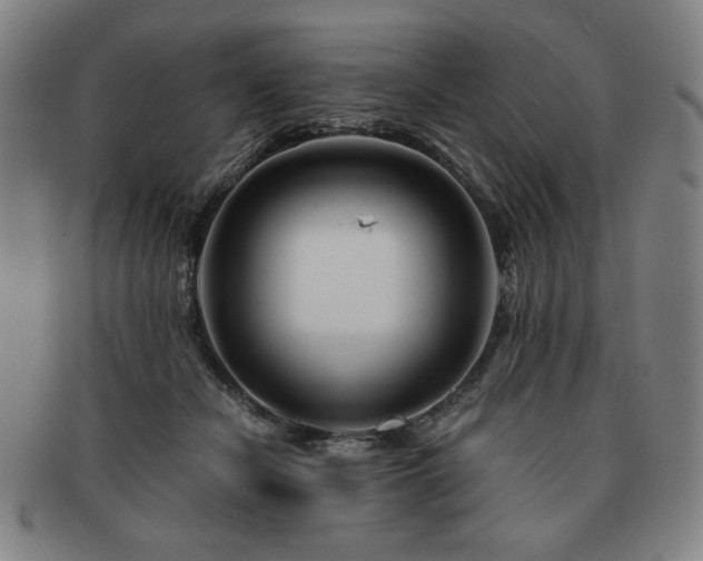 X0000091450462200708231258
