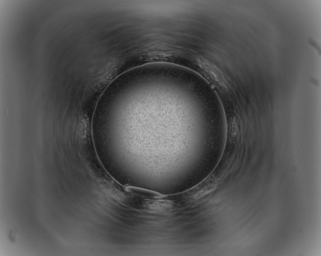 X0000091450463200708231258