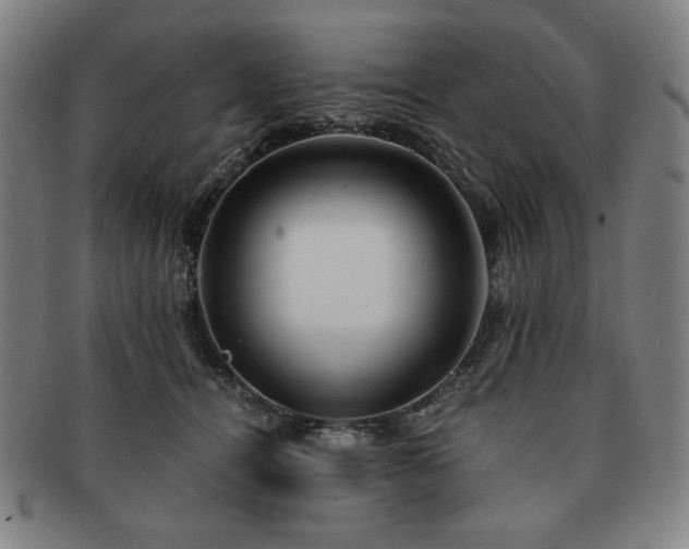 X0000091450464200708231258