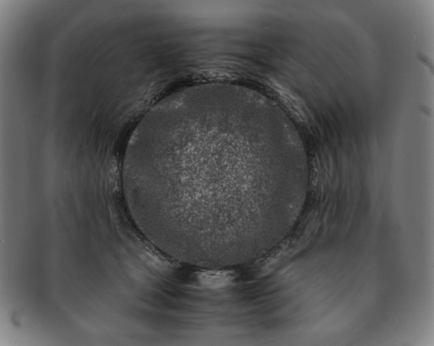 X0000091450465200708231258