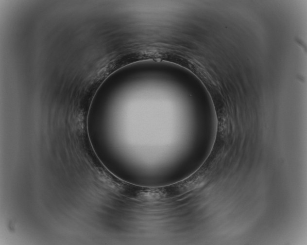 X0000091450466200708231258
