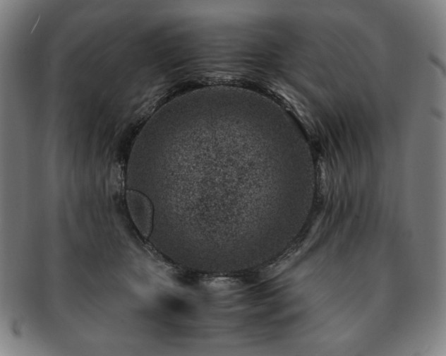 X0000091450467200708231258