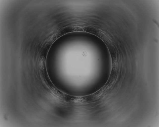 X0000091450468200708231258