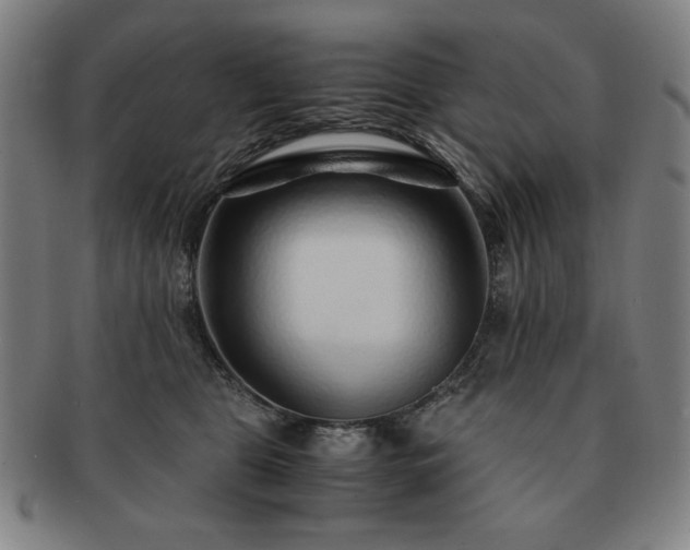 X0000091450469200708231259