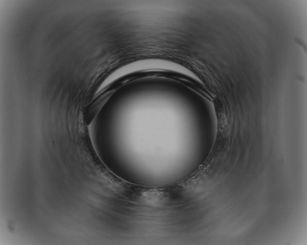 X0000091450470200708231259