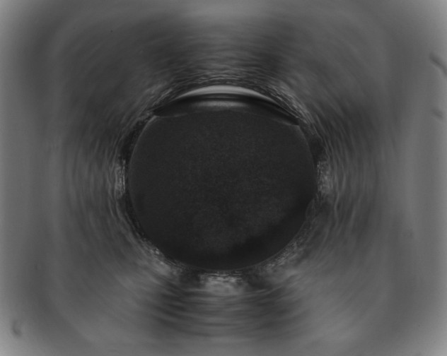 X0000091450471200708231259