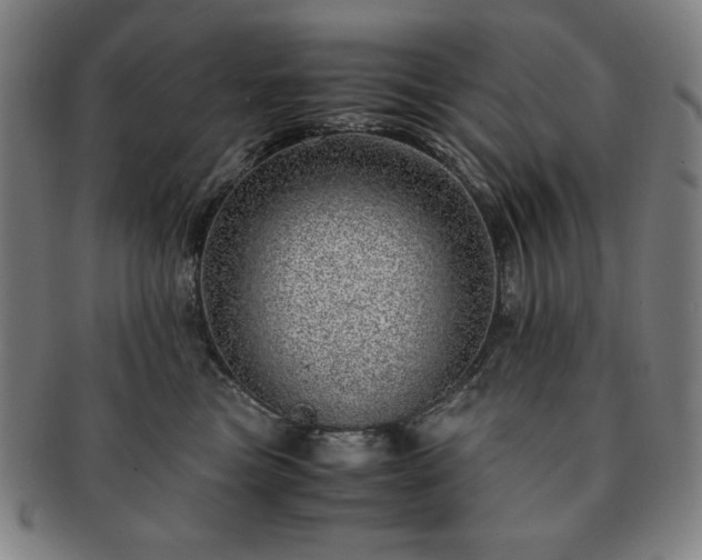 X0000091450473200708231259