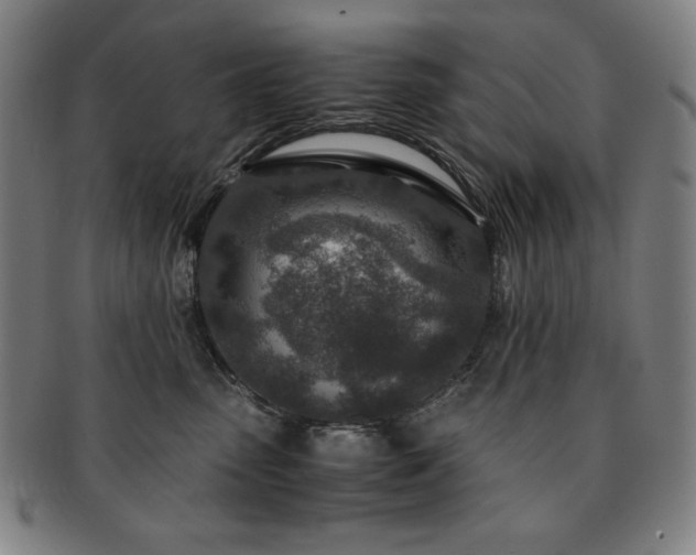 X0000091450475200708231259