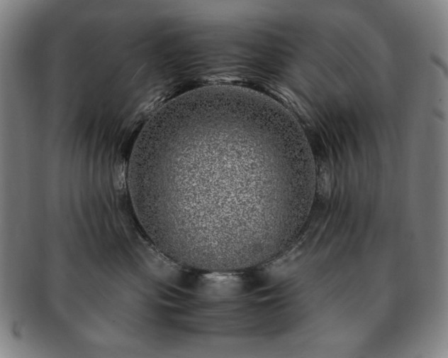 X0000091450477200708231259